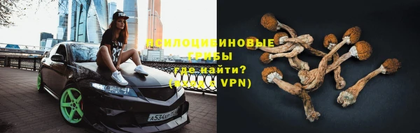 спиды Арсеньев