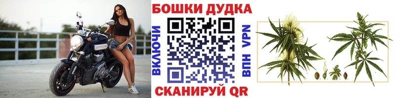 где продают наркотики  Шацк  ОМГ ОМГ ТОР  МАРИХУАНА Bruce Banner 